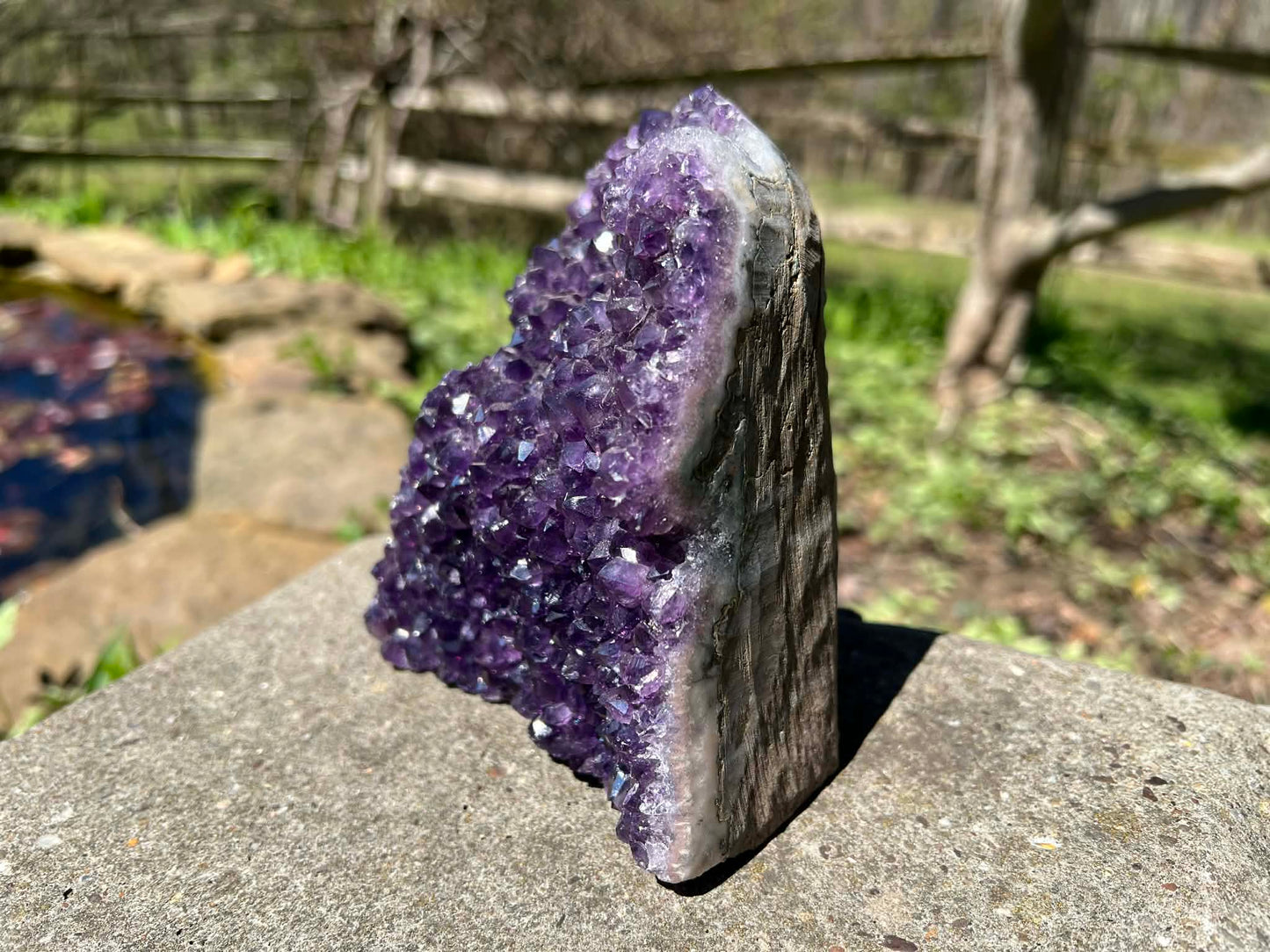 Amethyst Geode - Gem Realm 