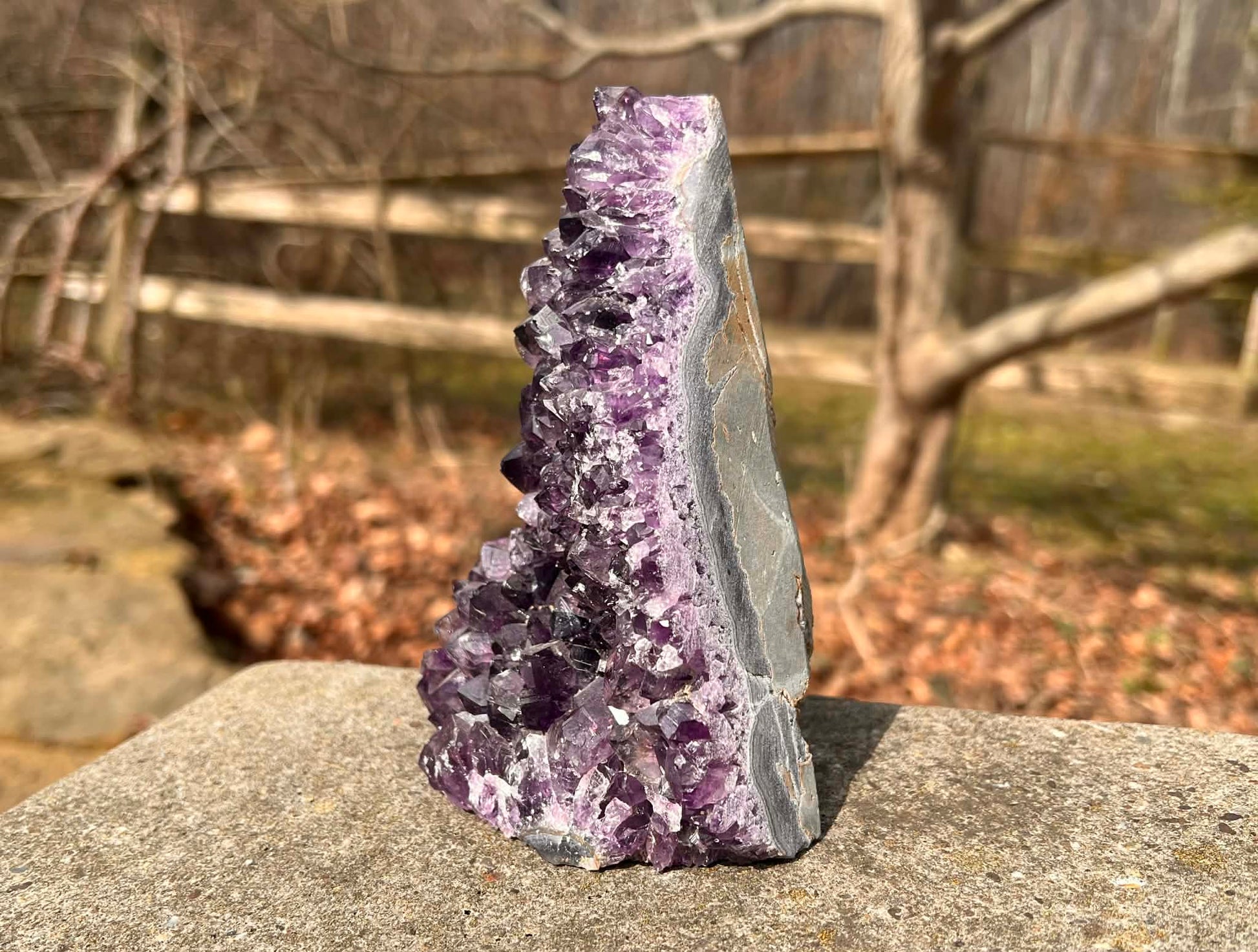 Amethyst Geode - Gem Realm 