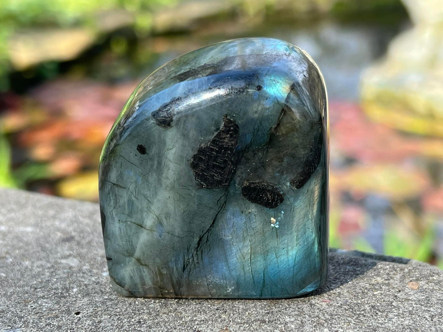 Labradorite Freeform - Gem Realm 