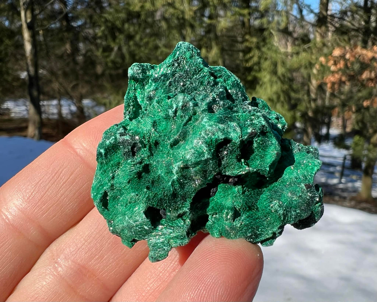 Silk Malachite Specimen #24 - Gem Realm 
