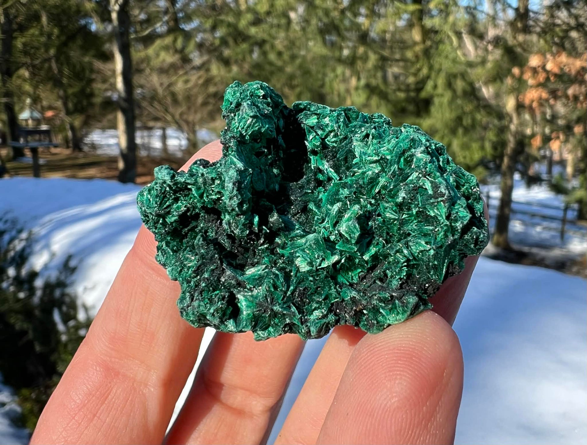 Silk Malachite Specimen #12 - Gem Realm 