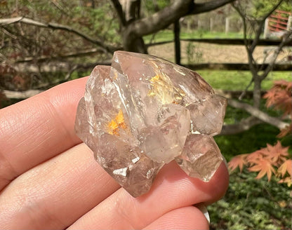 Smoky Elestial Quartz Specimen #12 - Gem Realm 