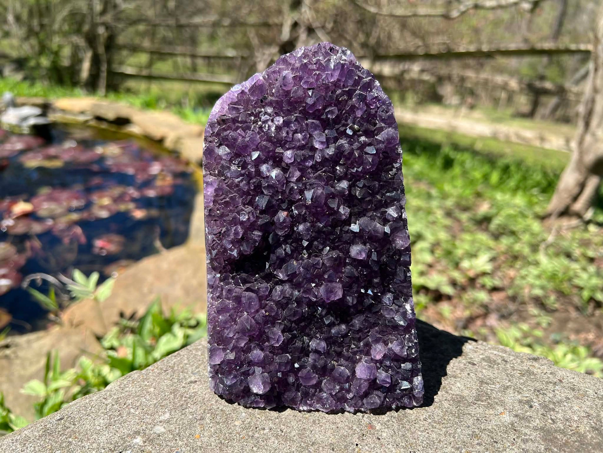 Amethyst Geode - Gem Realm 