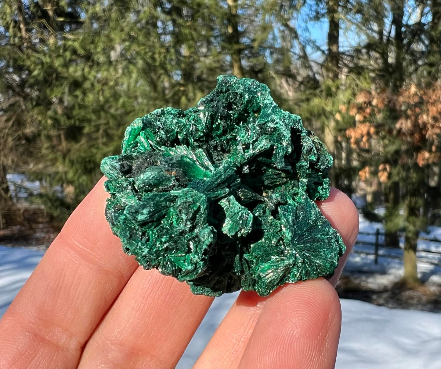 Silk Malachite Specimen #15 - Gem Realm 