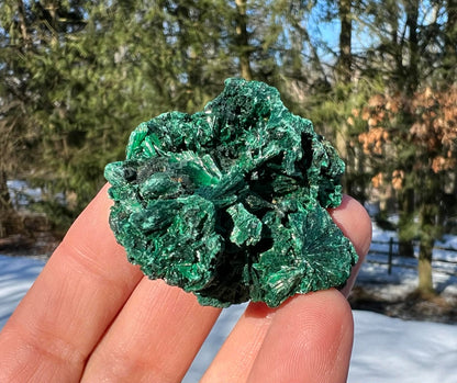 Silk Malachite Specimen #15 - Gem Realm 