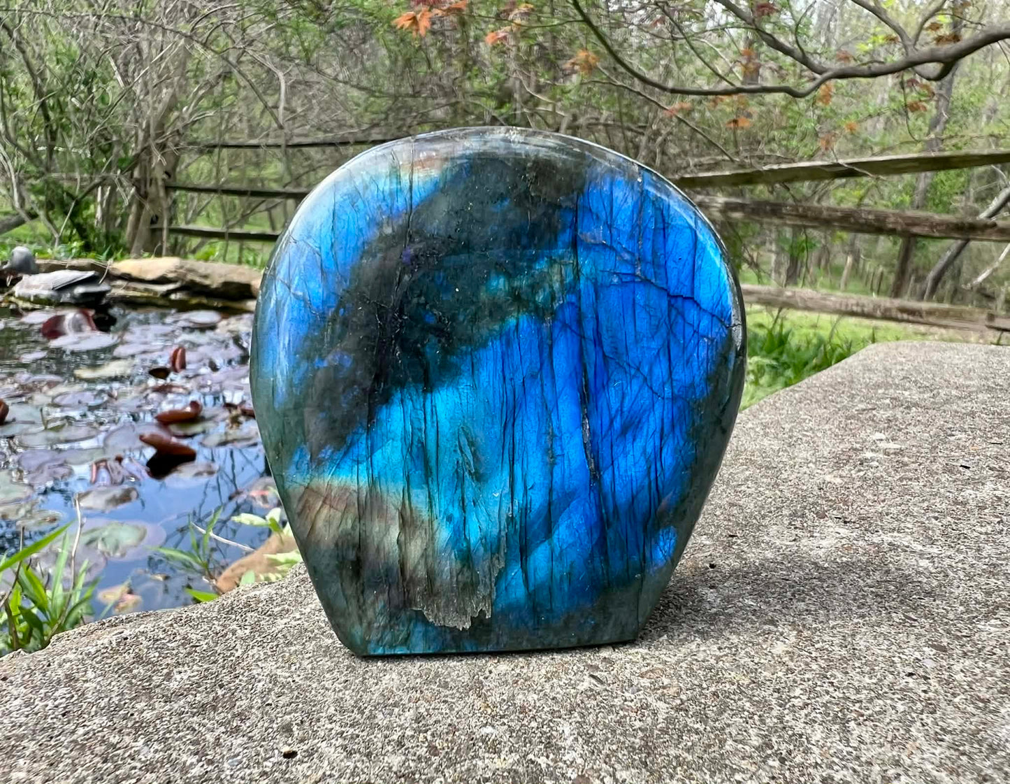 Labradorite Freeform - Gem Realm 