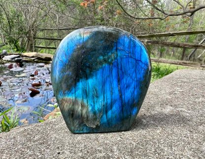 Labradorite Freeform - Gem Realm 
