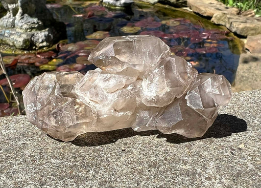 Smoky Elestial Quartz Specimen #7 - Gem Realm 
