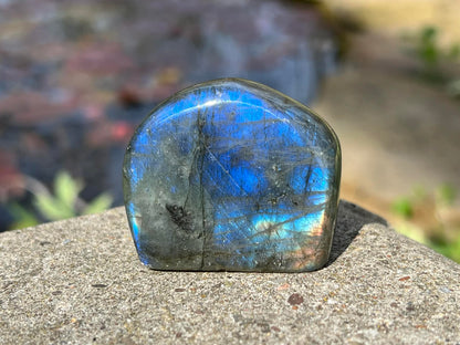 Labradorite Freeform - Mini - Gem Realm 