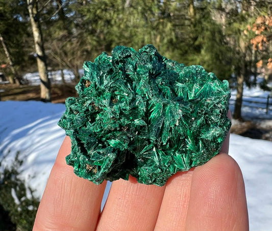 Silk Malachite Specimen #16 - Gem Realm 