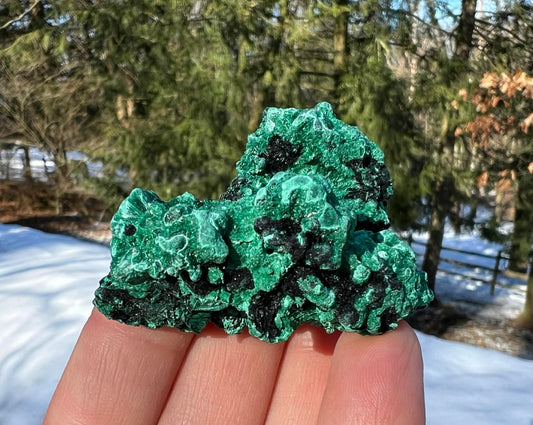 Silk Malachite Specimen #9 - Gem Realm 
