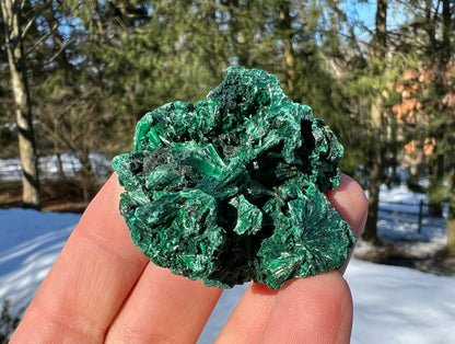 Silk Malachite Specimen #15 - Gem Realm 