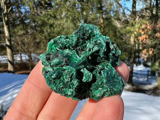 Silk Malachite Specimen #15 - Gem Realm 