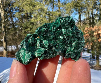 Silk Malachite Specimen #19 - Gem Realm 