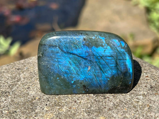 Labradorite Freeform - Mini