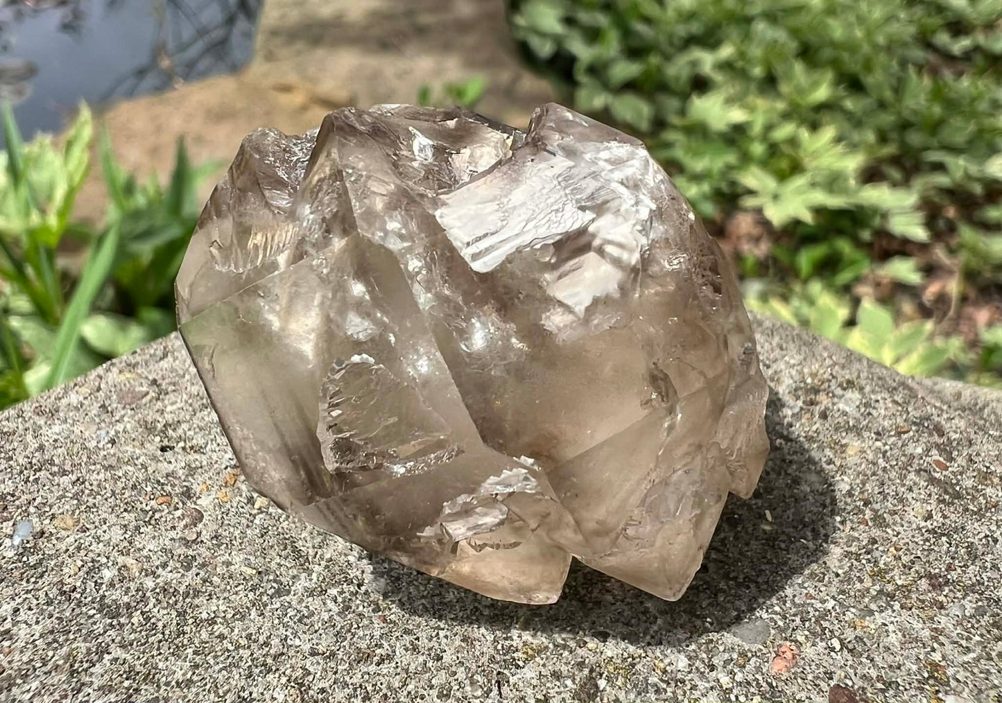 Smoky Elestial Quartz Specimen #13 - Gem Realm 