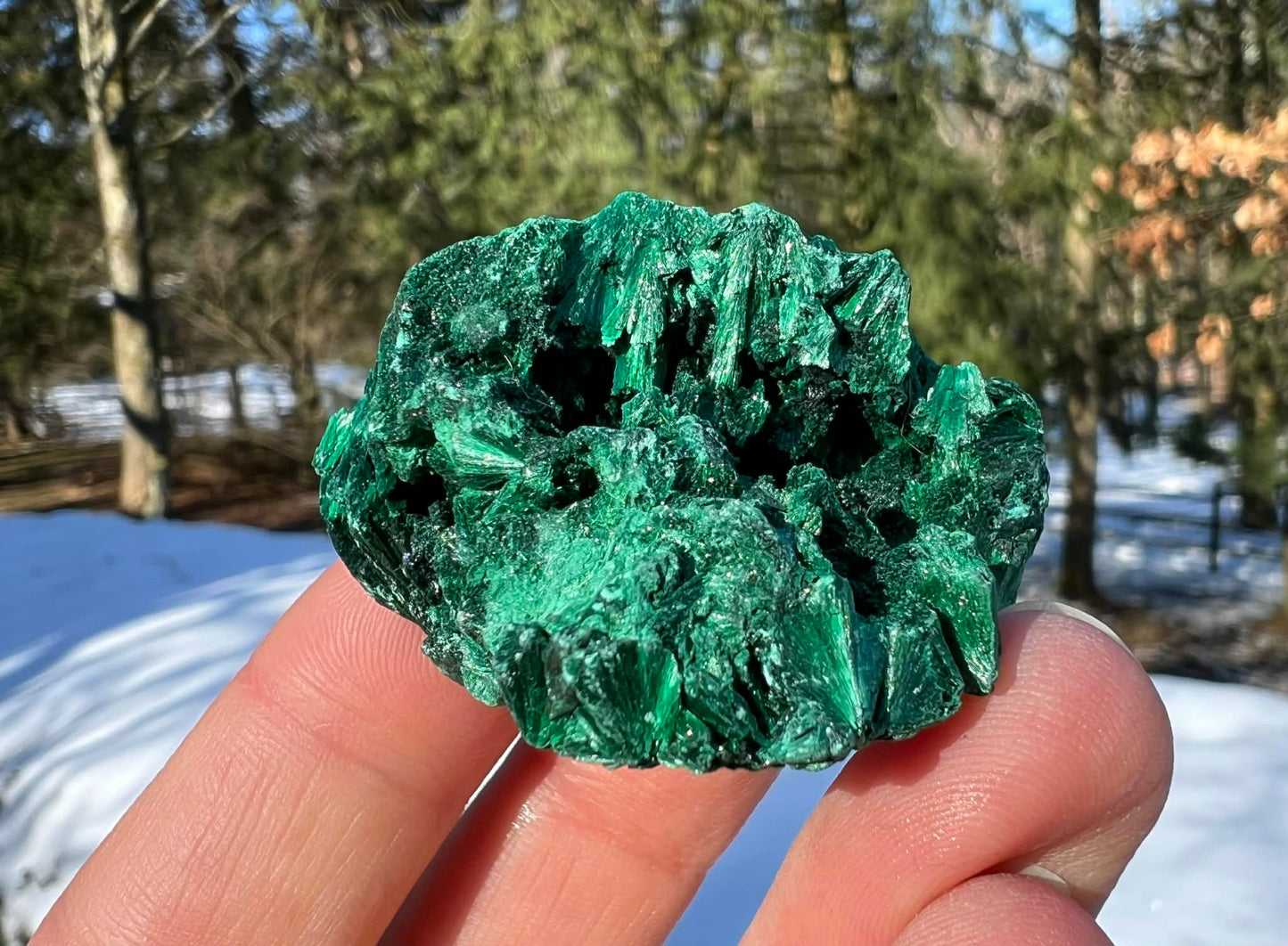 Silk Malachite Specimen #17 - Gem Realm 