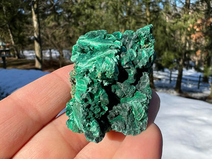 Silk Malachite Specimen #14 - Gem Realm 