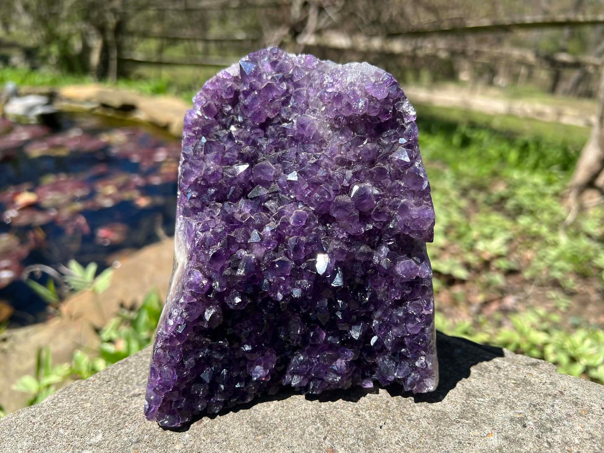 Amethyst Geode - Gem Realm 
