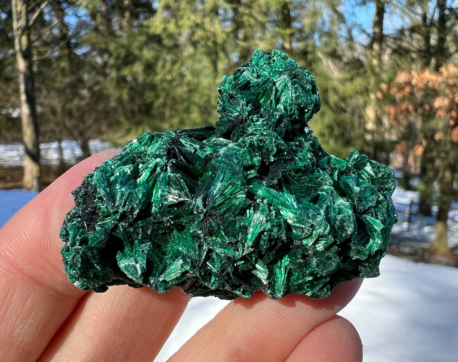 Silk Malachite Specimen #20 - Gem Realm 