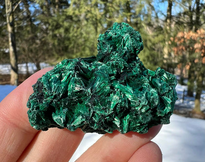 Silk Malachite Specimen #20 - Gem Realm 