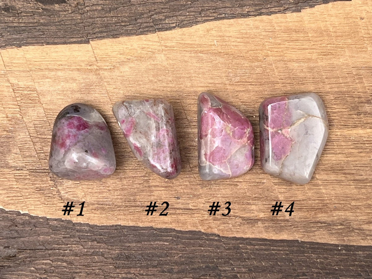 Ruby in Kyanite Tumbled Stones - Gem Realm 
