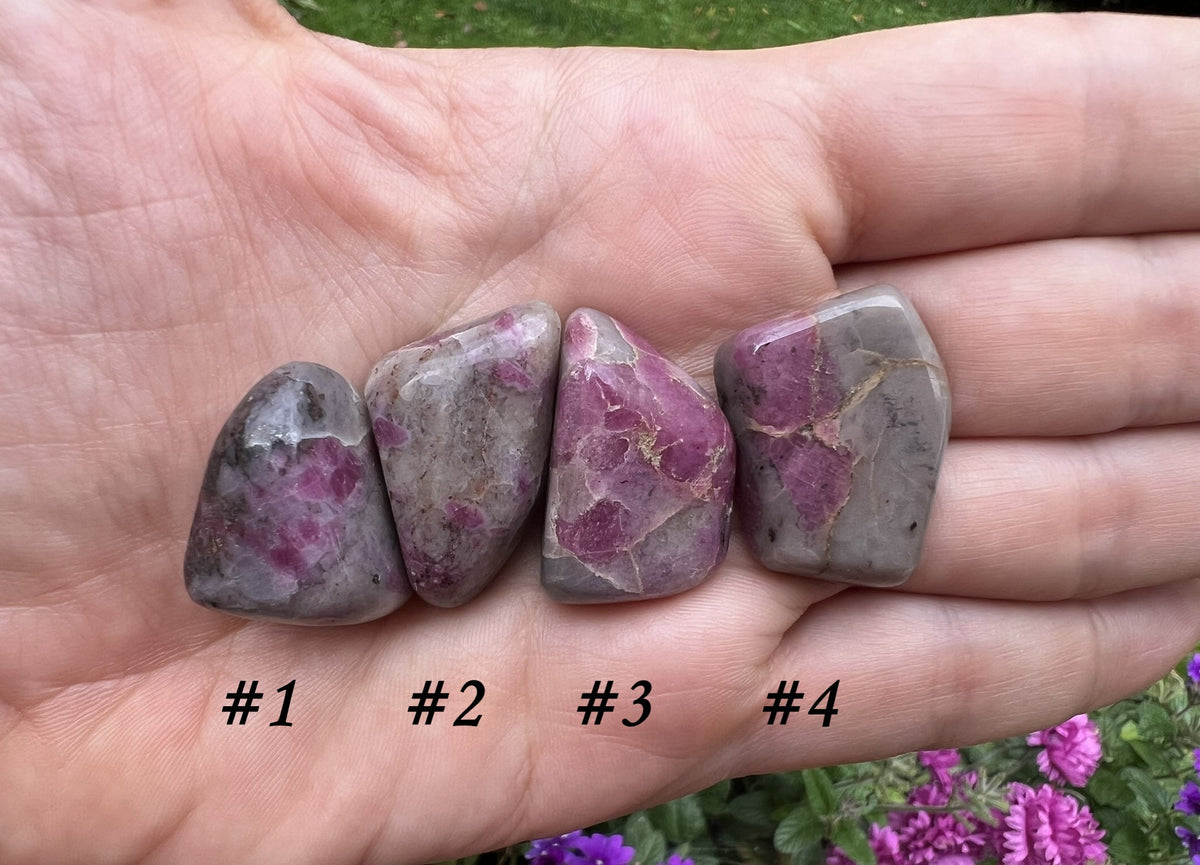 Ruby in Kyanite Tumbled Stones - Gem Realm 