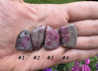Ruby in Kyanite Tumbled Stones - Gem Realm 