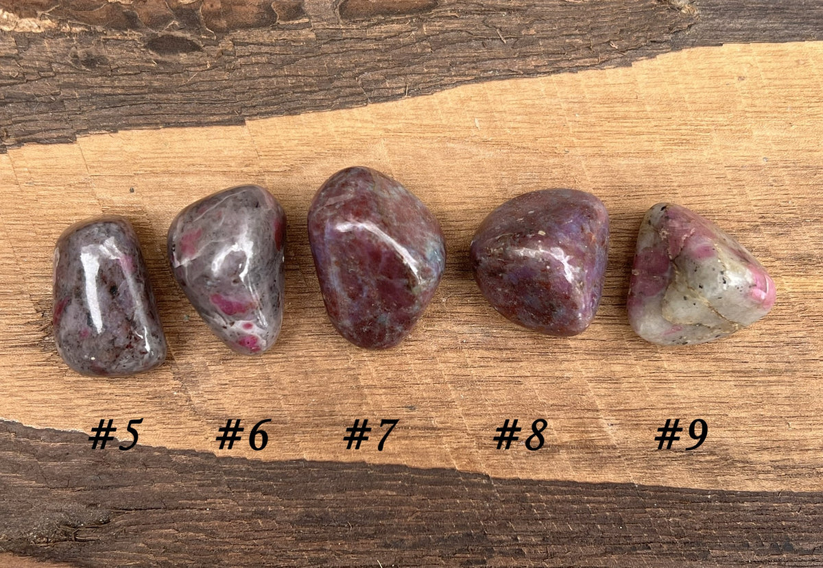 Ruby in Kyanite Tumbled Stones - Gem Realm 
