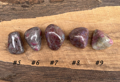 Ruby in Kyanite Tumbled Stones - Gem Realm 