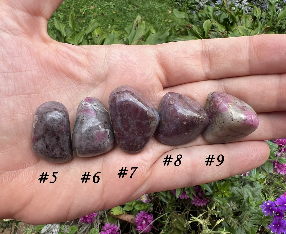 Ruby in Kyanite Tumbled Stones - Gem Realm 