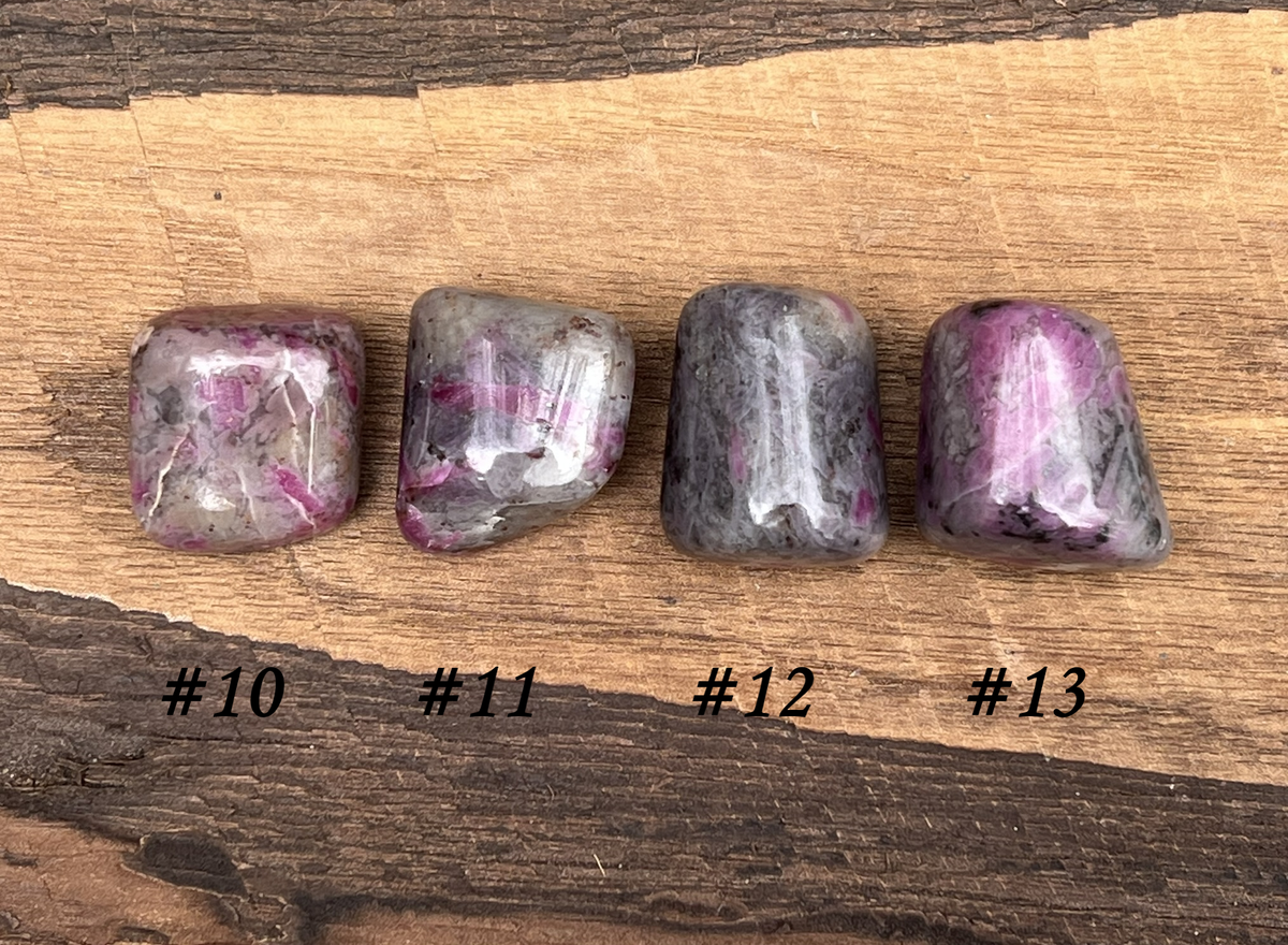 Ruby in Kyanite Tumbled Stones - Gem Realm 
