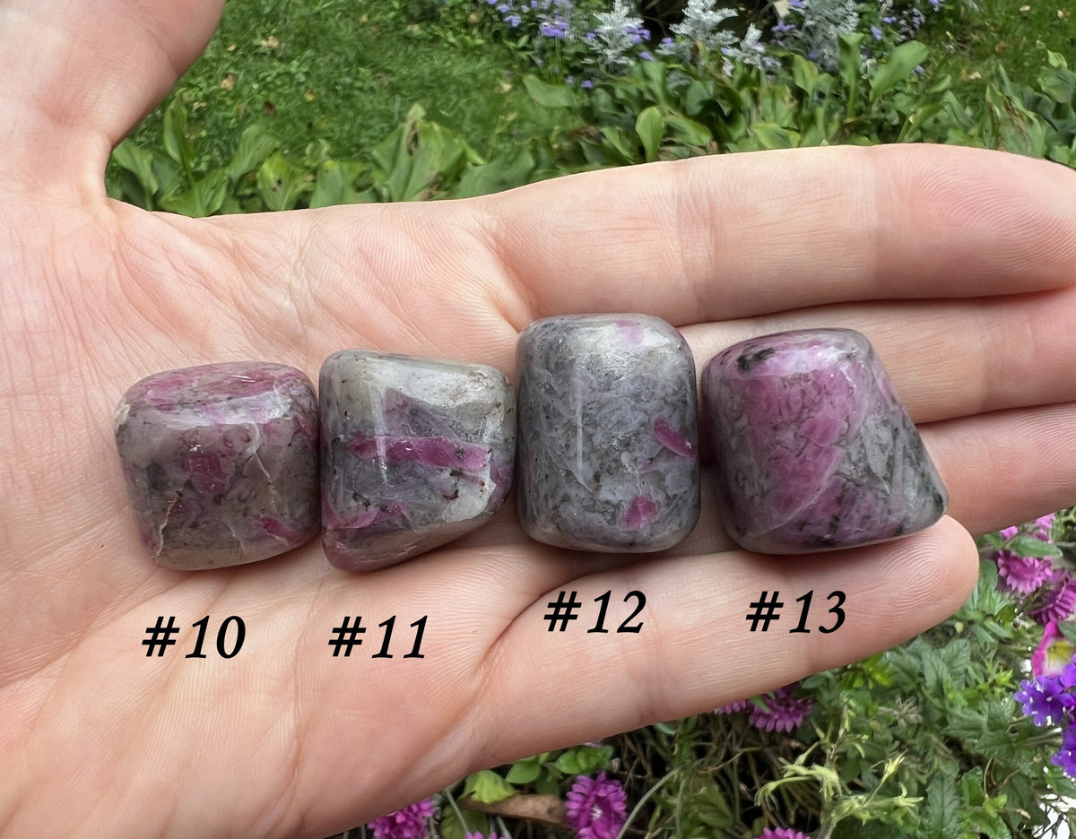 Ruby in Kyanite Tumbled Stones - Gem Realm 