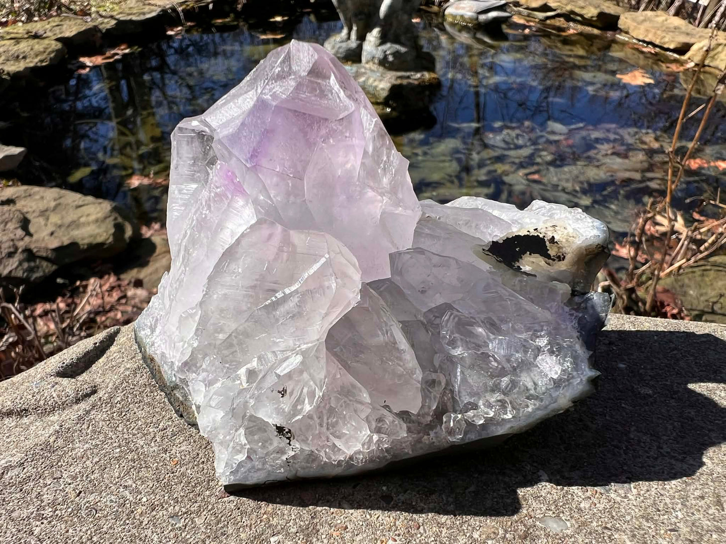 Amethyst Cluster Specimen ~ Brazil