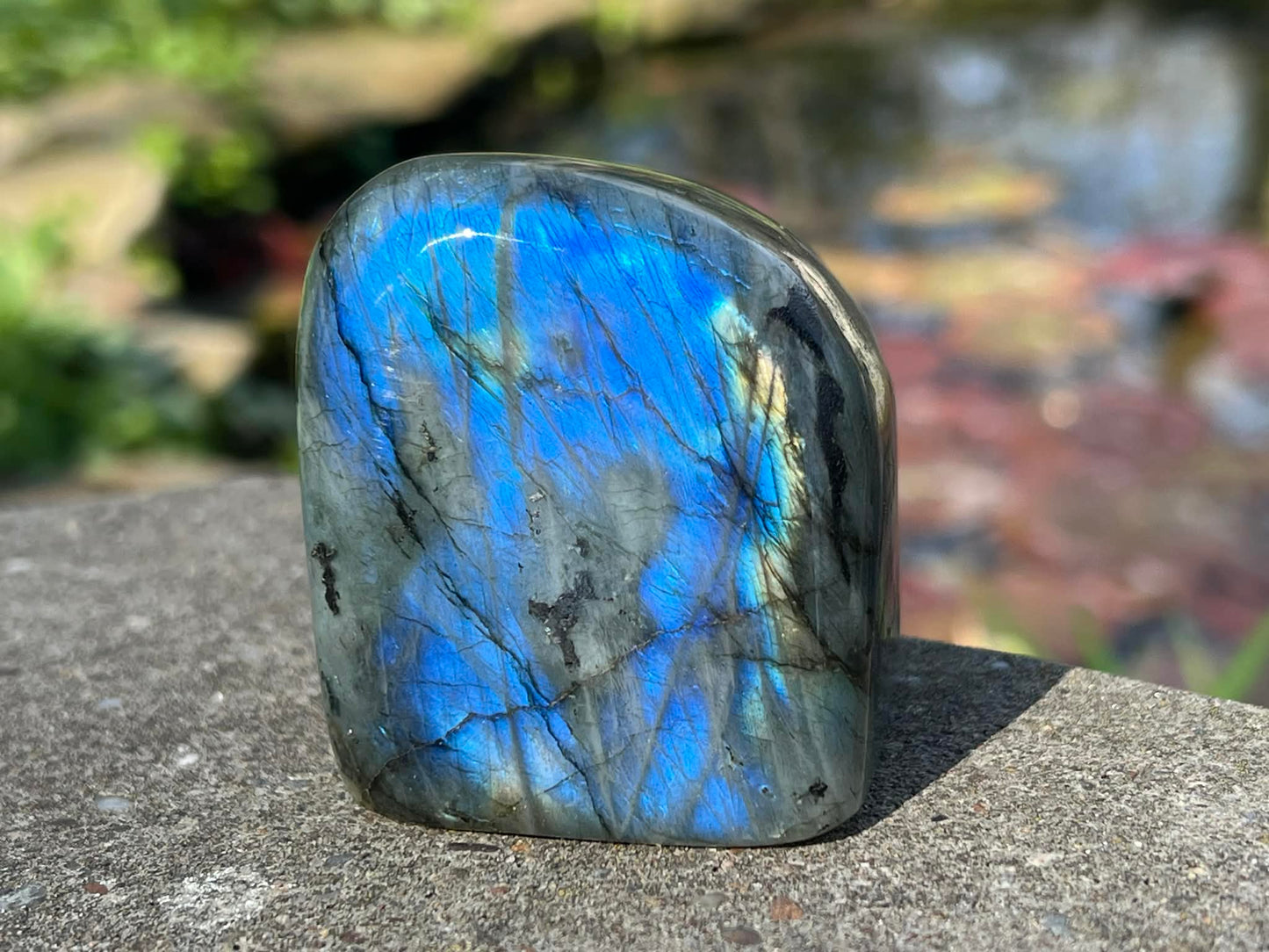 Labradorite Freeform - Gem Realm 