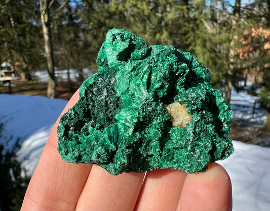 Silk Malachite Specimen #22 - Gem Realm 