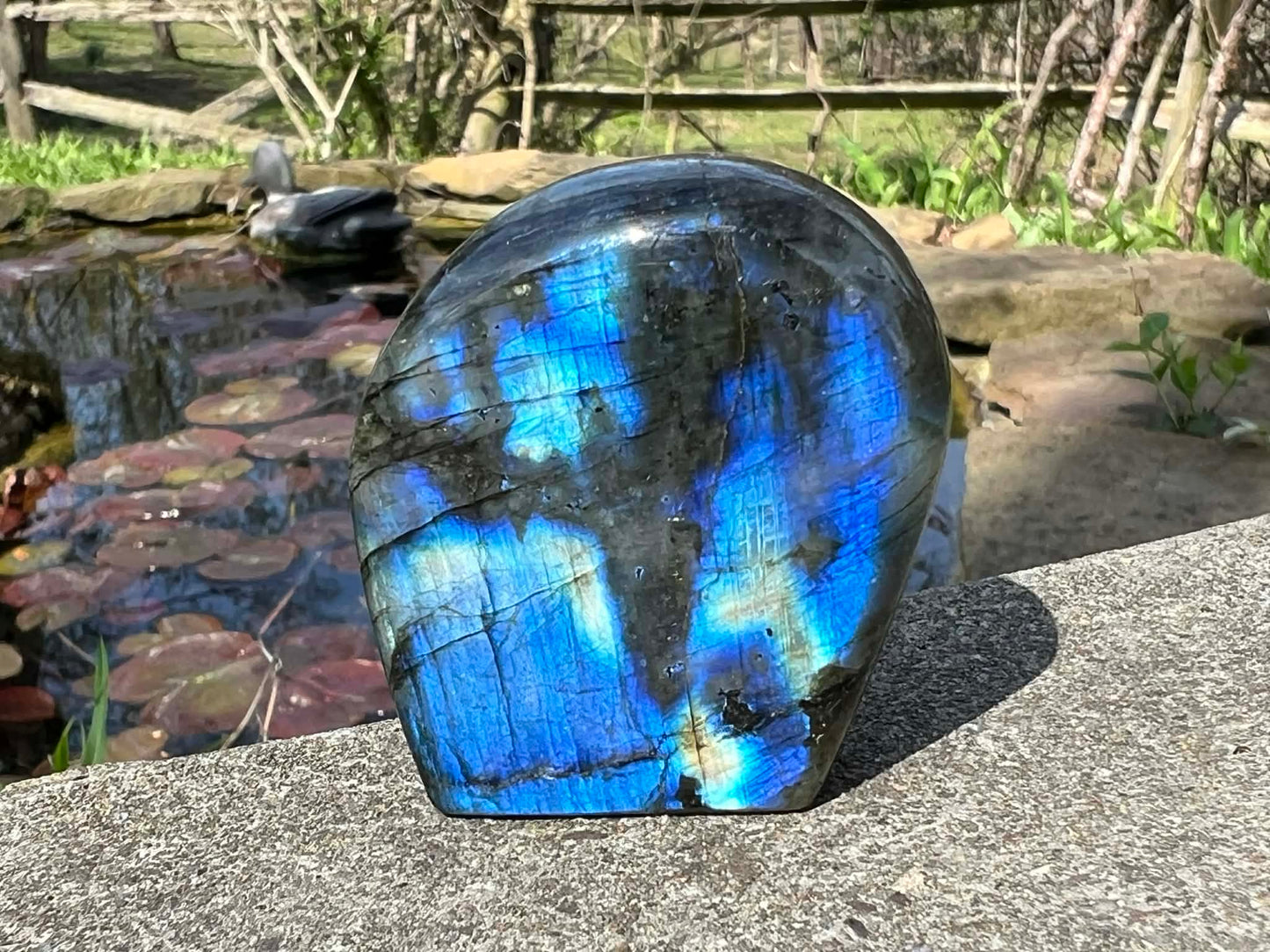 Labradorite Freeform - Mini - Gem Realm 