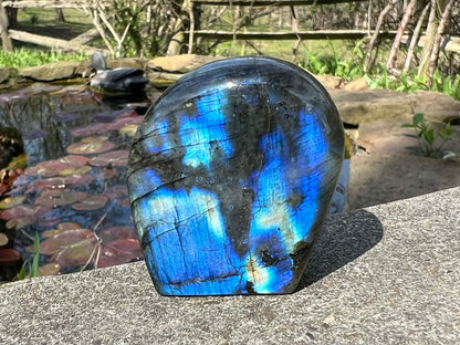 Labradorite Freeform - Mini - Gem Realm 