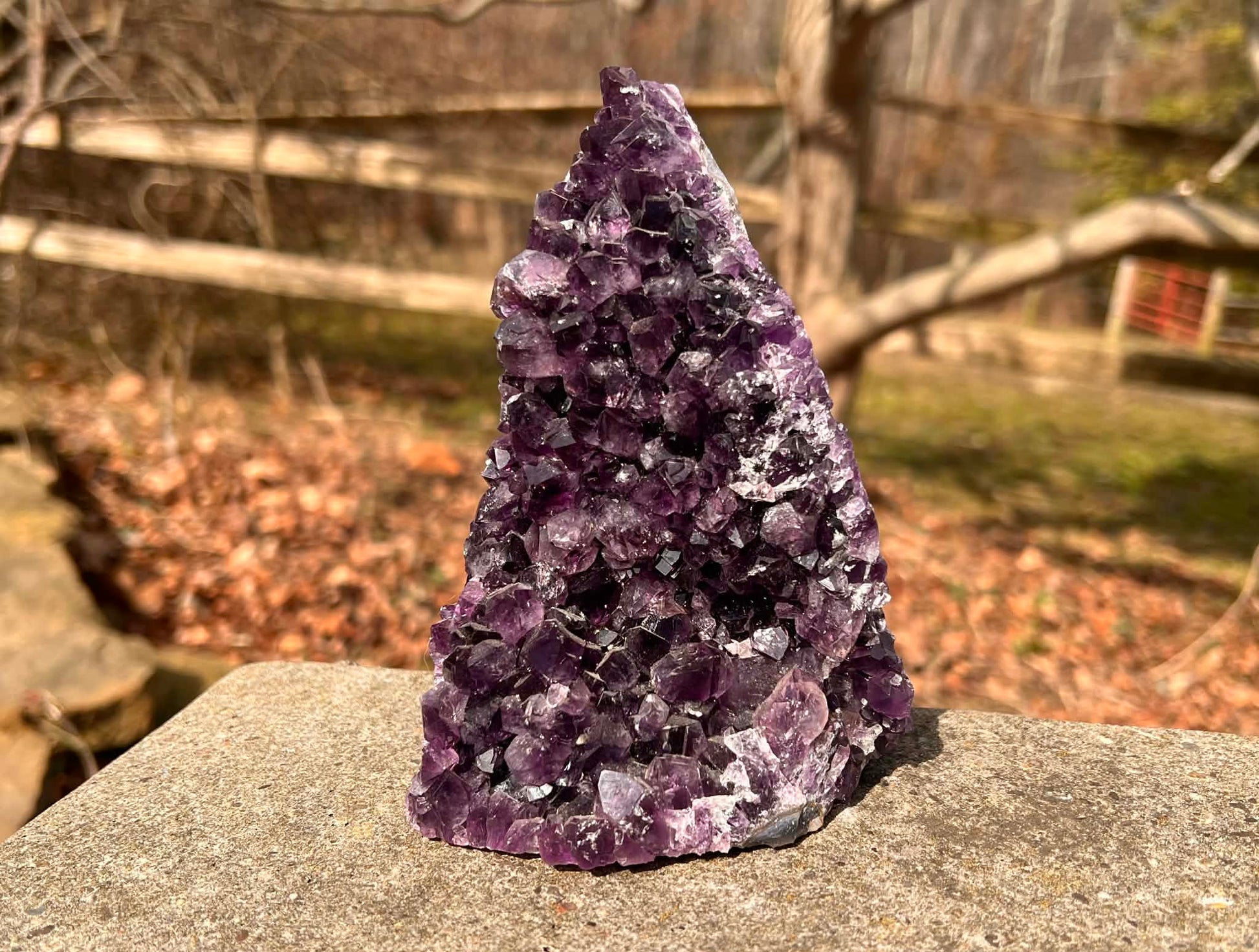 Amethyst Geode - Gem Realm 