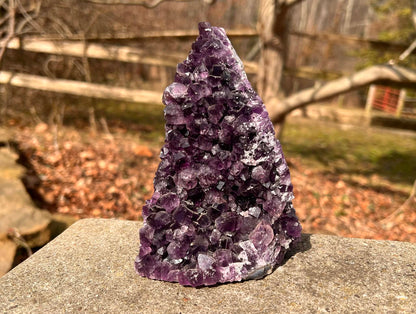 Amethyst Geode - Gem Realm 