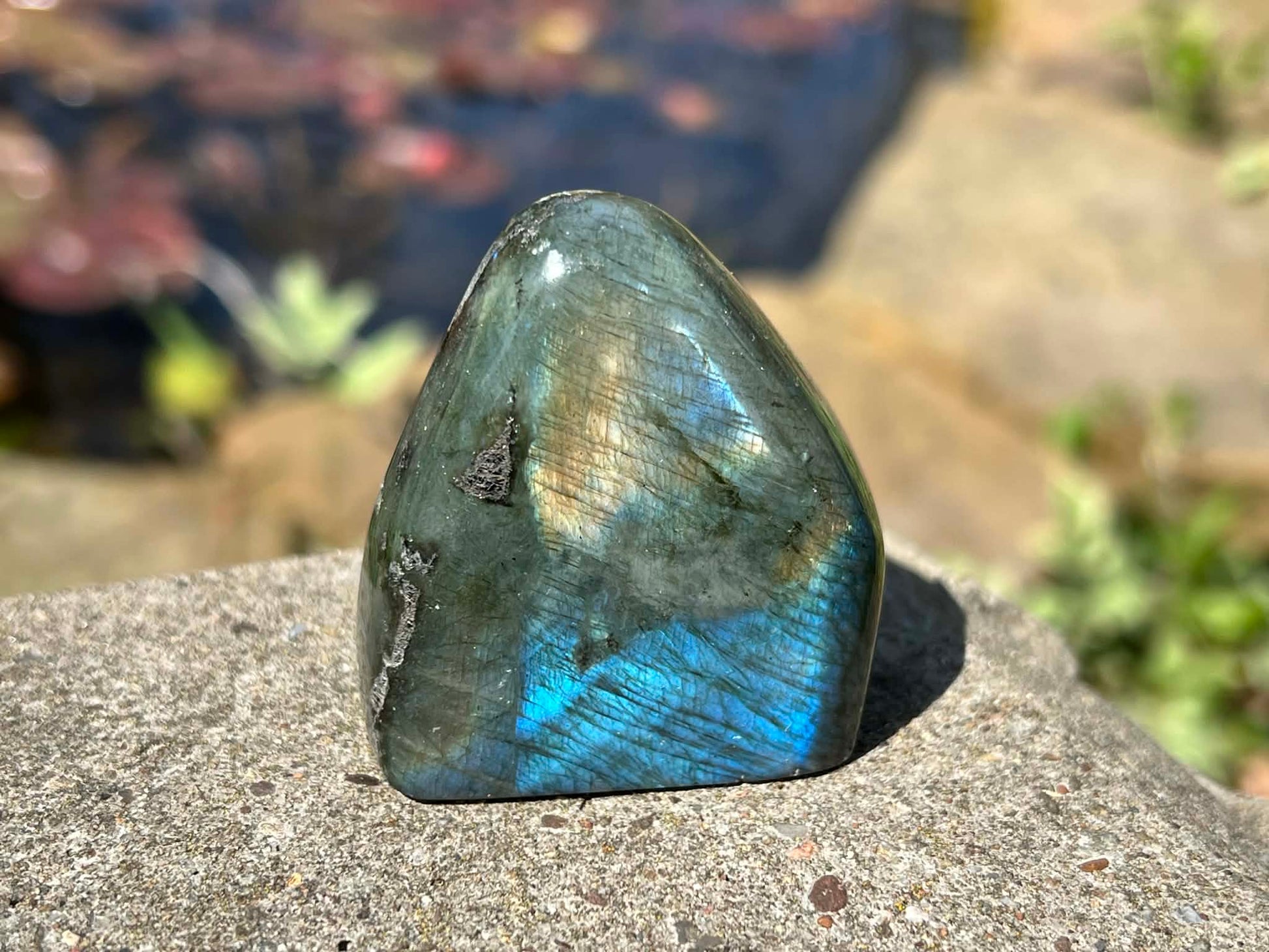 Labradorite Freeform - Mini - Gem Realm 
