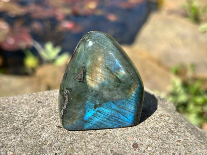 Labradorite Freeform - Mini - Gem Realm 
