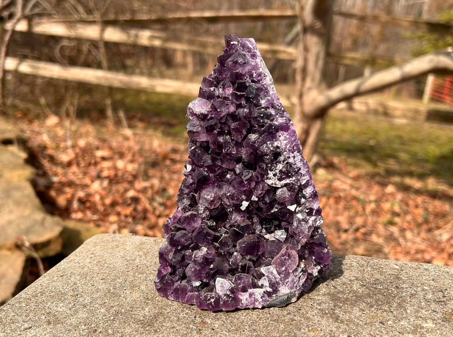 Amethyst Geode - Gem Realm 