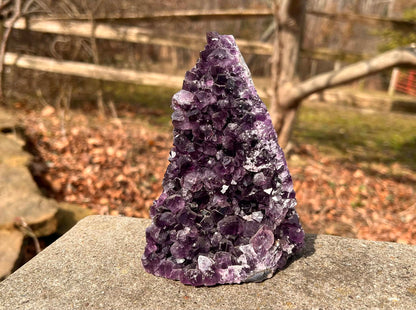 Amethyst Geode - Gem Realm 