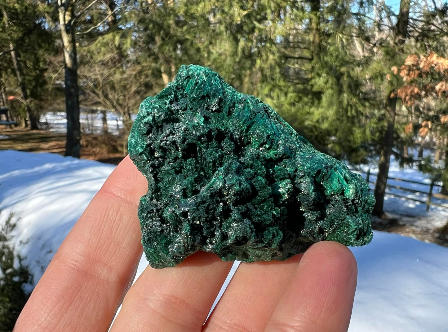 Silk Malachite Specimen #8 - Gem Realm 
