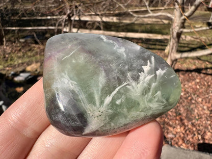 Rainbow Fluorite Palm Stone