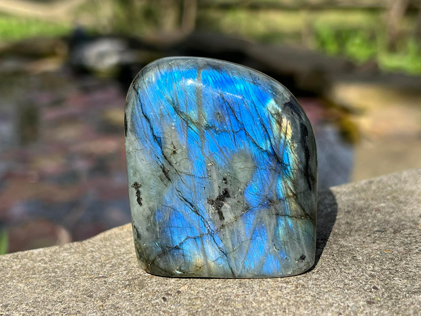 Labradorite Freeform - Gem Realm 