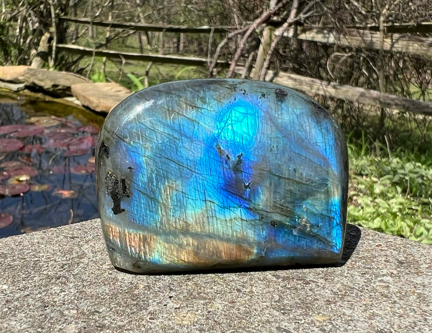 Labradorite Freeform - Gem Realm 