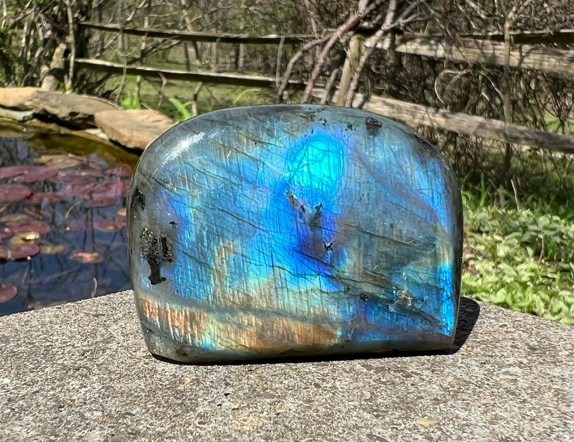 Labradorite Freeform - Gem Realm 