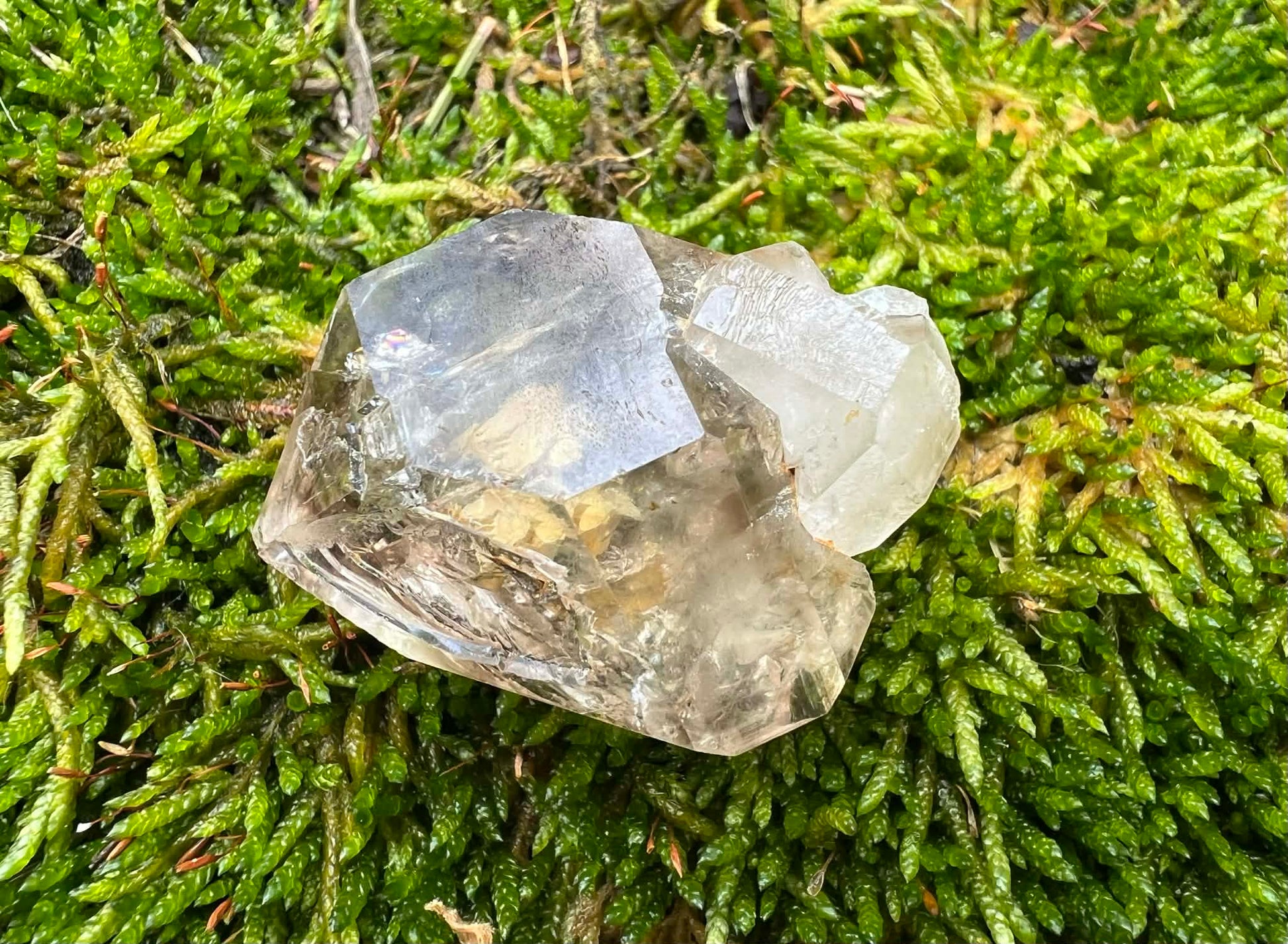 Smoky Elestial Quartz Specimen #10 - Gem Realm 